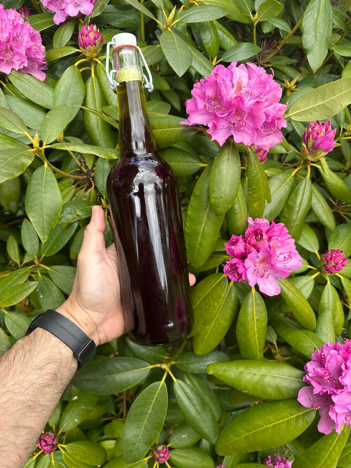Hampafröolja 250ml